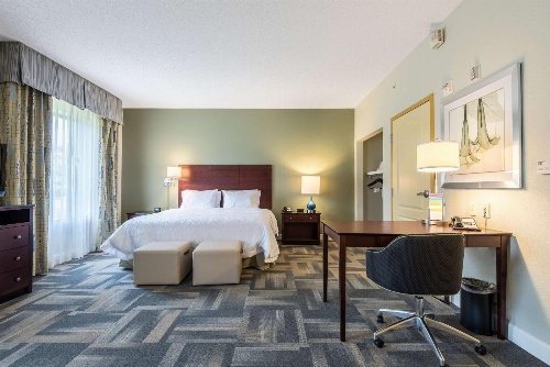 Hampton Inn By Hilton & Suites Orlando-South Lake Buena Vista image 1