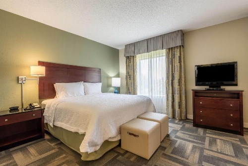 Hampton Inn By Hilton & Suites Orlando-South Lake Buena Vista image 12