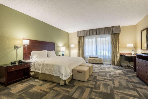 Hampton Inn By Hilton & Suites Orlando-South Lake Buena Vista image 13