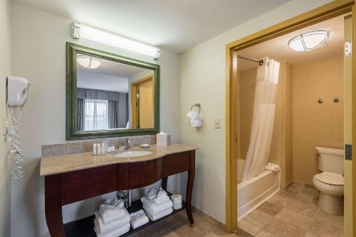 Hampton Inn By Hilton & Suites Orlando-South Lake Buena Vista image 15
