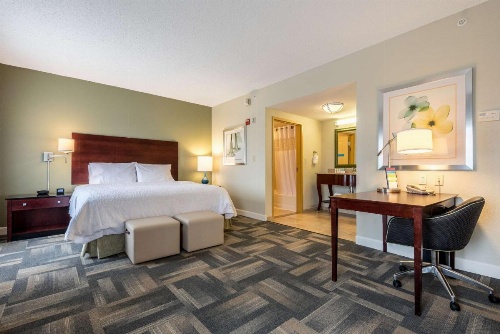 Hampton Inn By Hilton & Suites Orlando-South Lake Buena Vista image 19