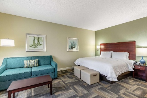 Hampton Inn By Hilton & Suites Orlando-South Lake Buena Vista image 35