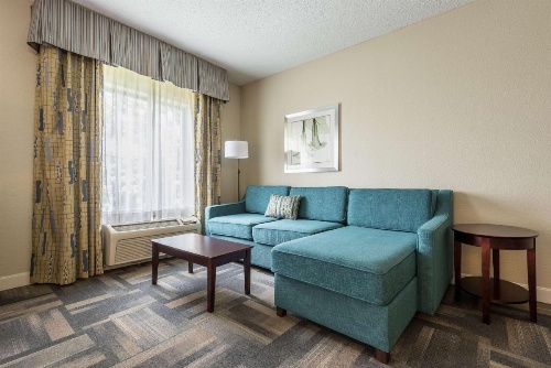 Hampton Inn By Hilton & Suites Orlando-South Lake Buena Vista image 38