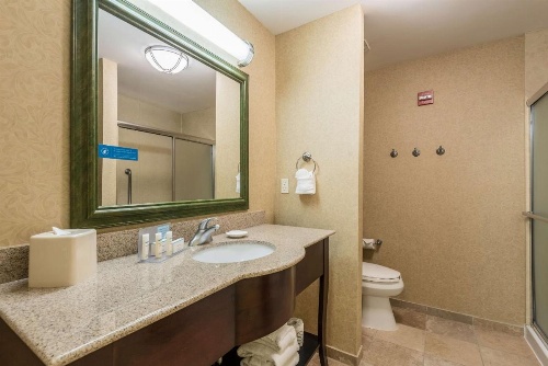 Hampton Inn By Hilton & Suites Orlando-South Lake Buena Vista image 39