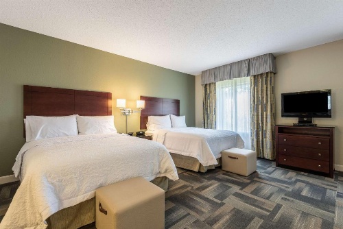 Hampton Inn By Hilton & Suites Orlando-South Lake Buena Vista image 46