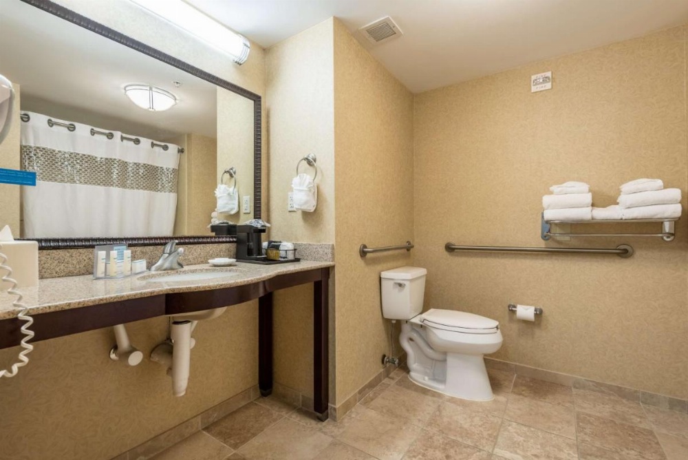 Hampton Inn By Hilton & Suites Orlando-South Lake Buena Vista