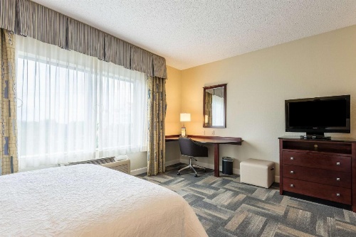 Hampton Inn By Hilton & Suites Orlando-South Lake Buena Vista image 8