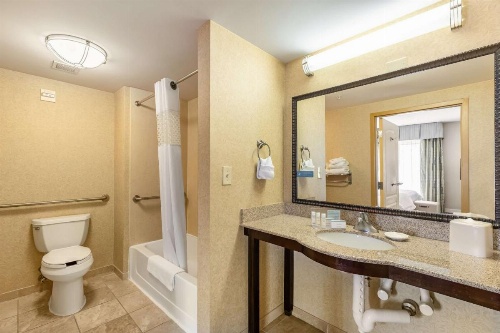 Hampton Inn By Hilton & Suites Orlando-South Lake Buena Vista image 9